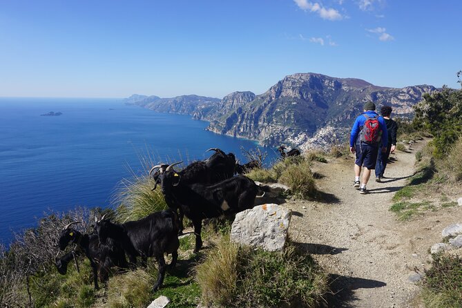 Path of Gods at Sunset + Food & Wine at the Shepherds Hut - Dine at a Shepherds Hut