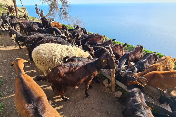 Path of Gods Hike, With Food Experience at Shepherds Hut - Location and Meeting Point