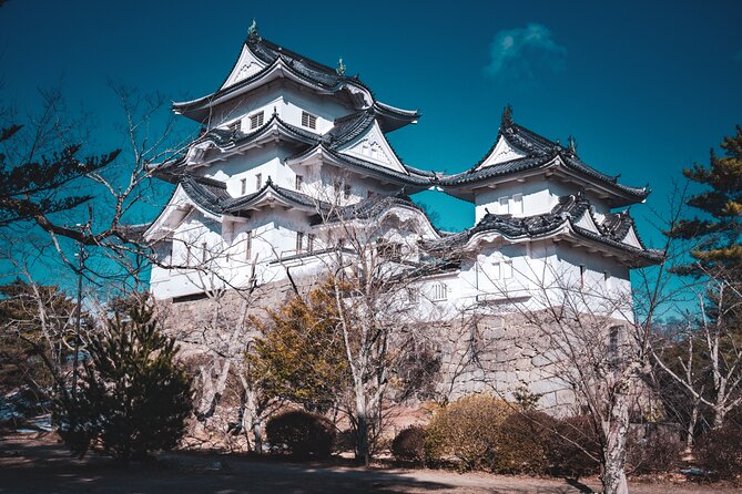 Path of Ninja & Shogun: Private Van History Tour From Kyoto - Included Services