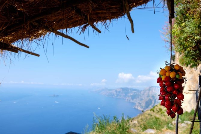 Path of the Gods Day Guided Tour With Transfer From Sorrento - Key Points
