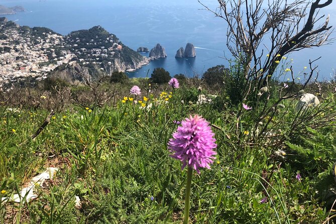 Path of the Gods Gastronomical Hiking With Food Tasting - Tour Guides