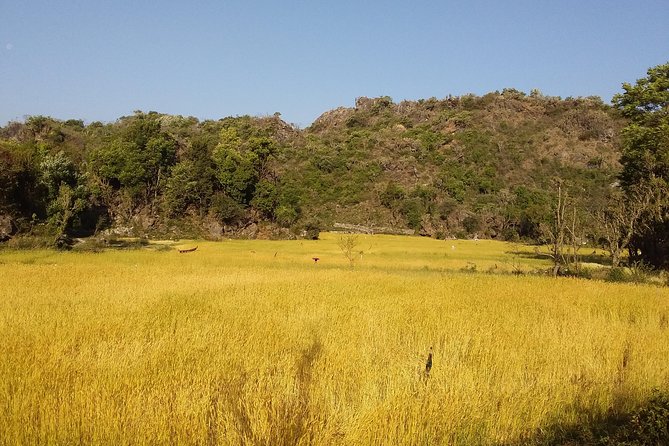 Patho Village Trek - a Short Trek ( 4 Hrs ) in Rishikesh - Trek Overview