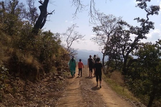 Patho Village Trek - a Short Trek ( 4 Hrs ) in Rishikesh - Additional Information