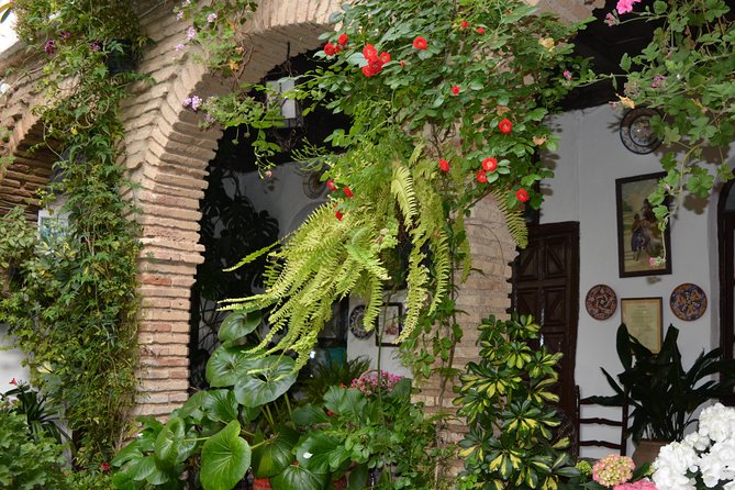 Patios & Perfums of Cordoba Festival Tour - Guided Tour Experience