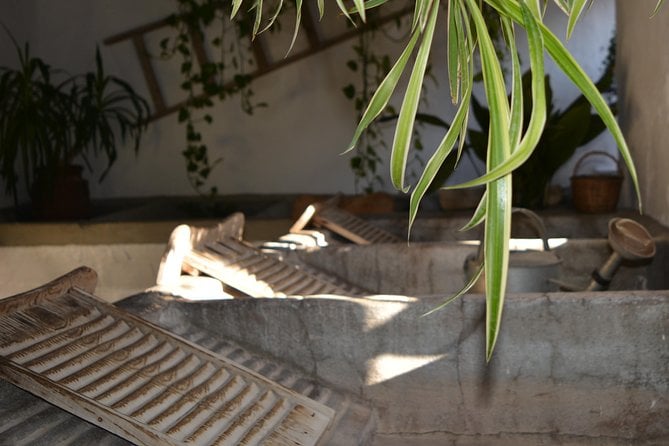 Patios & Perfums of Cordoba Festival Tour - Tour Inclusions and Pricing