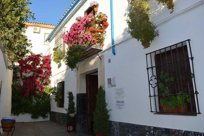 Patios & Perfums of Cordoba Festival Tour - Festival History and Significance