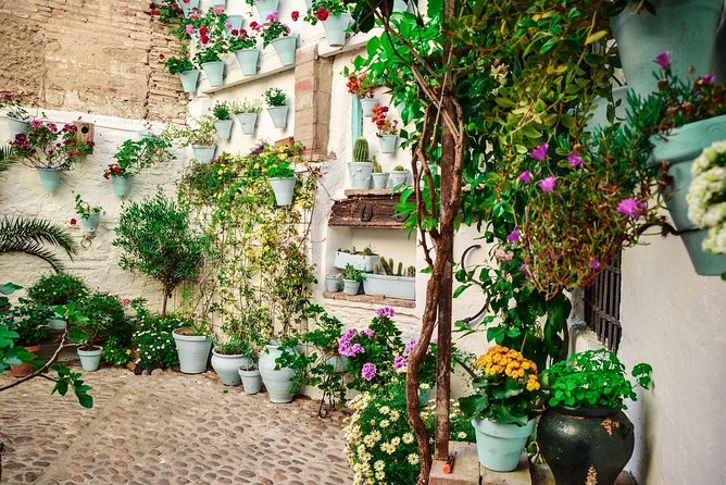 Patios Tour in Cordoba - Meeting and Pickup