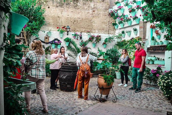 Patios Tour in Cordoba - Reviews and Ratings