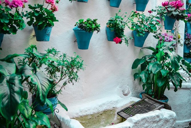 Patios Tour in Cordoba - History of Viana Palace