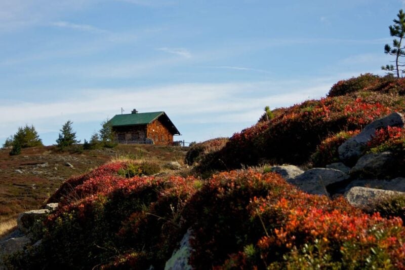 Patscherkofel: Zirbenweg to Glungezer* - Booking and Cancellation Policies
