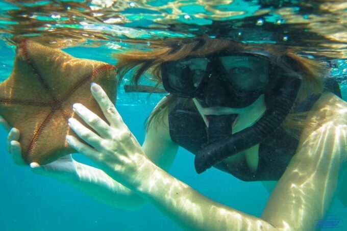 Pattaya: 3 Islands Catamaran Tour With Buffet Lunch - Ideal for Travelers