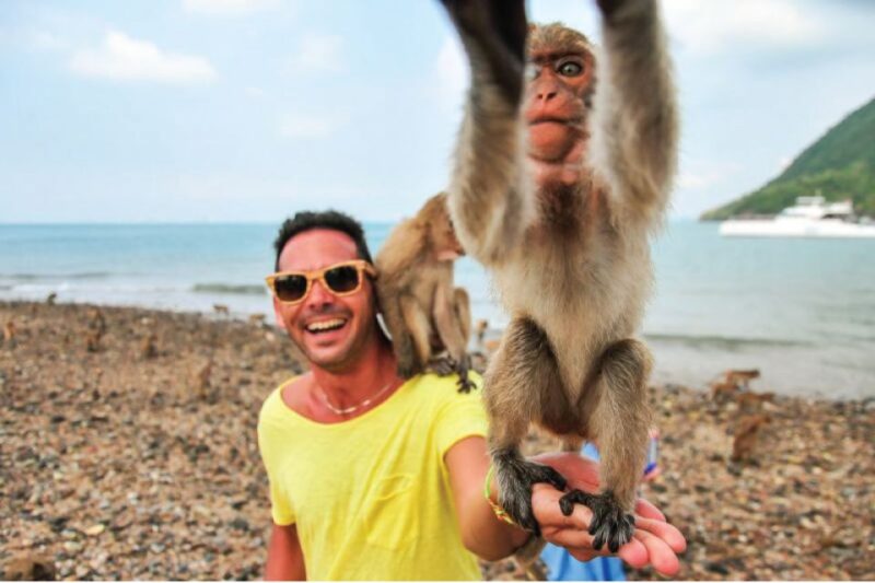 Pattaya: 3 Islands Day Tour on Catamaran With Buffet Lunch - Key Points