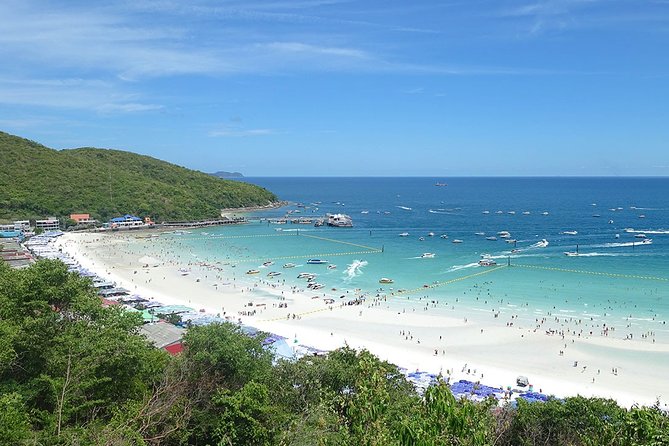 Pattaya Coral Island Full Day Tour From Bangkok - Reviews