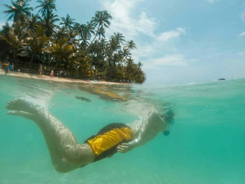 Pattaya: Coral Island Half-Day Trip With Indian Lunch - Key Points