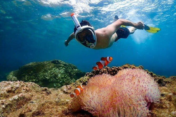 Pattaya: Coral Island Tour with Water Sports, Lunch & Pickup Drop - The Sum Up