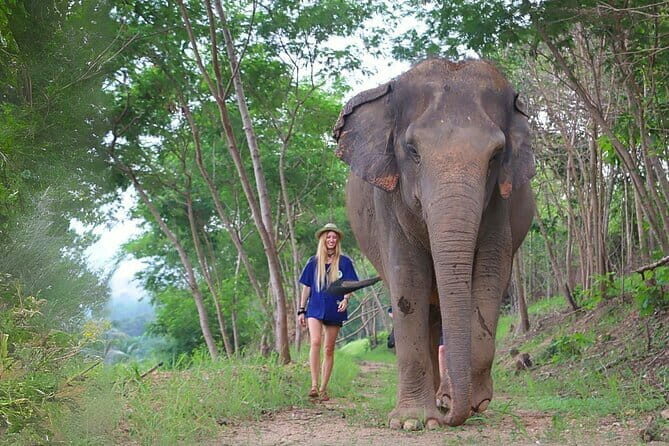 Pattaya Discovery Tour with Floating Market - Final Thoughts: Who Is This Tour Best For?