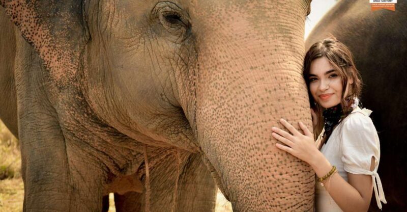 Pattaya: Elephant Jungle Sanctuary Feeding Experience - Experience Highlights