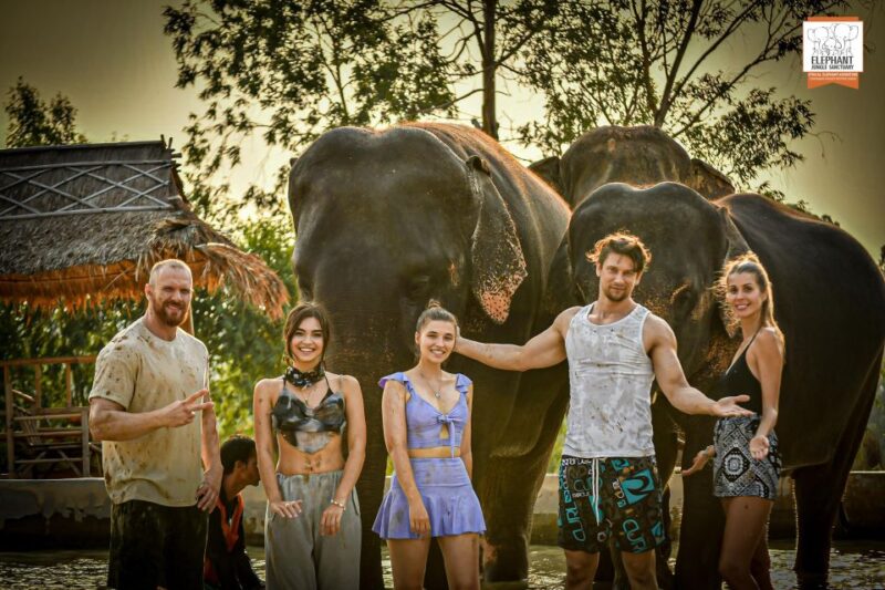 Pattaya: Elephant Jungle Sanctuary Half-Day Tour With Meal - Bathing and Hand-Feeding Elephants