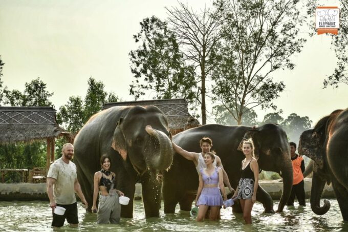 Pattaya: Elephant Jungle Sanctuary Half-Day Tour With Meal - Frequently Asked Questions
