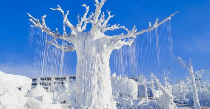 Pattaya: Frost Magical Ice of Siam Entry Ticket - Key Points