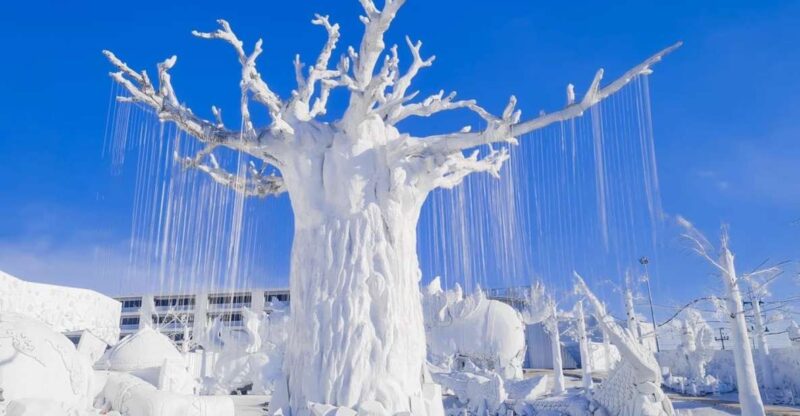Pattaya: Frost Magical Ice of Siam - Tourist Entry Ticket - Park Highlights and Experiences