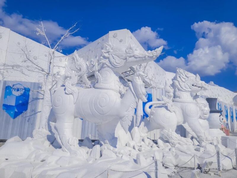 Pattaya: Frost Magical Ice of Siam - Tourist Entry Ticket - Visitor Guidelines and Requirements