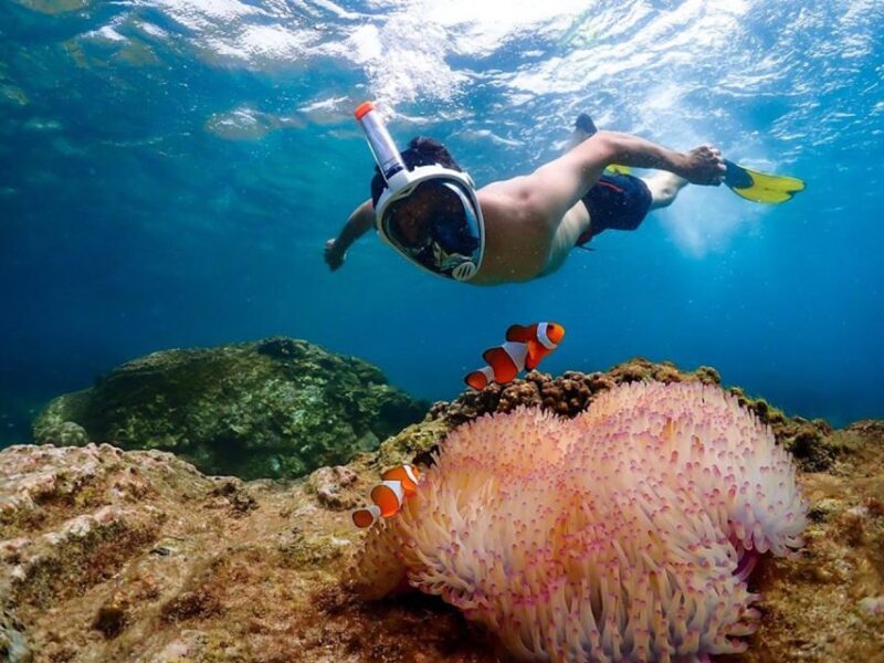Pattaya: Nemo Island Experience With Drone Photos and Lunch - Inclusions