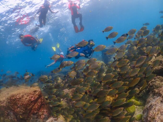 Pattaya: Nemo Island Experience With Drone Photos and Lunch - Suitability and Restrictions