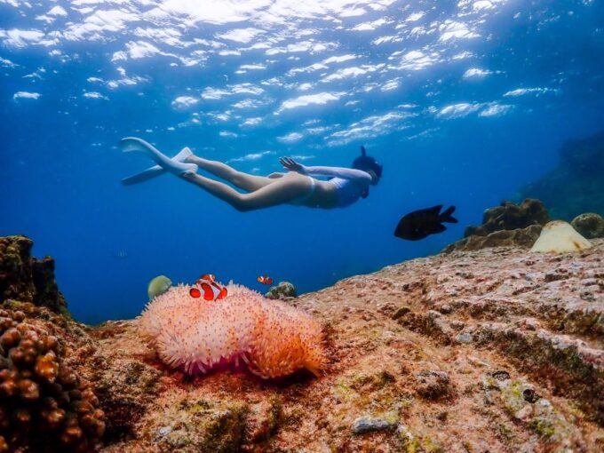 Pattaya: Nemo Island Experience With Drone Photos and Lunch - Frequently Asked Questions