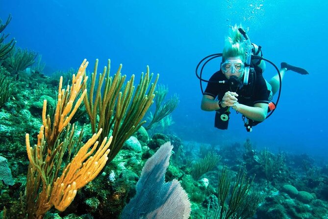Pattaya PADI Beginner Scuba Diving One Try Dive Depth 6 Meters and Snorkeling ) - Pickup and Logistics Details