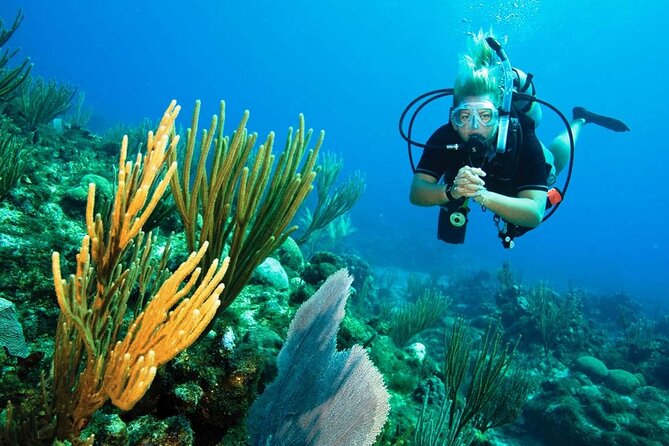 Pattaya PADI Scuba Diving Two Exciting Try Dives With PADI Instructor in Pattaya - Reviews and Ratings