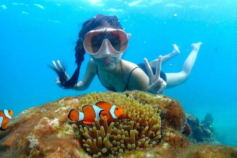 Pattaya: Private Speedboat Nemo Island with Snorkel & BBQ - An In-Depth Look at the Experience