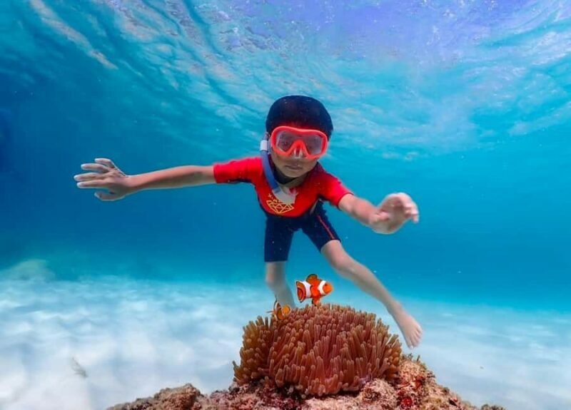 Pattaya: Private Speedboat Nemo Island with Snorkel & BBQ - Additional Details to Remember