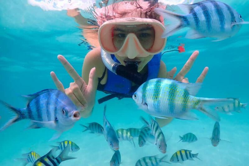 Pattaya: Private Speedboat Nemo Island with Snorkel & BBQ - The Sum Up