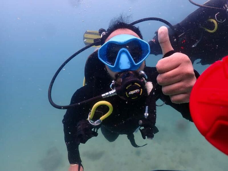 Pattaya: Snorkeling and Scuba Diving (For First Timer) - The Practical Side: Transportation, Equipment, & Timing