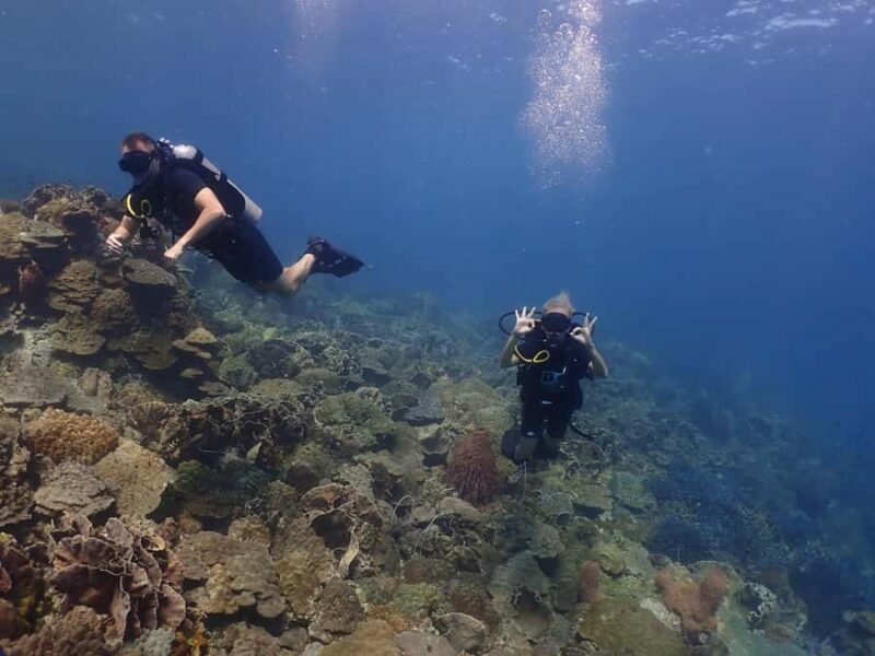 Pattaya: Snorkeling and Scuba Diving (For First Timer) - Who Will Love It