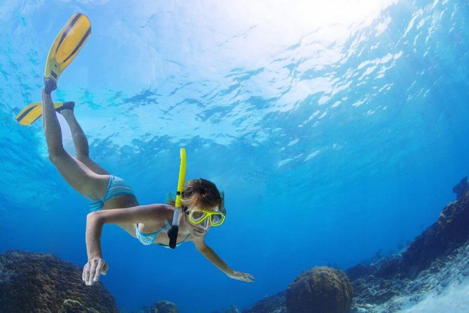 Pattaya Snorkeling Coral Island Full Day Tour With Round Trip Service and Lunch - Transportation Provided