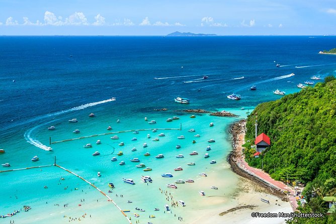 Pattaya Snorkeling Coral Island Full Day Tour With Round Trip Service and Lunch - Meal Options