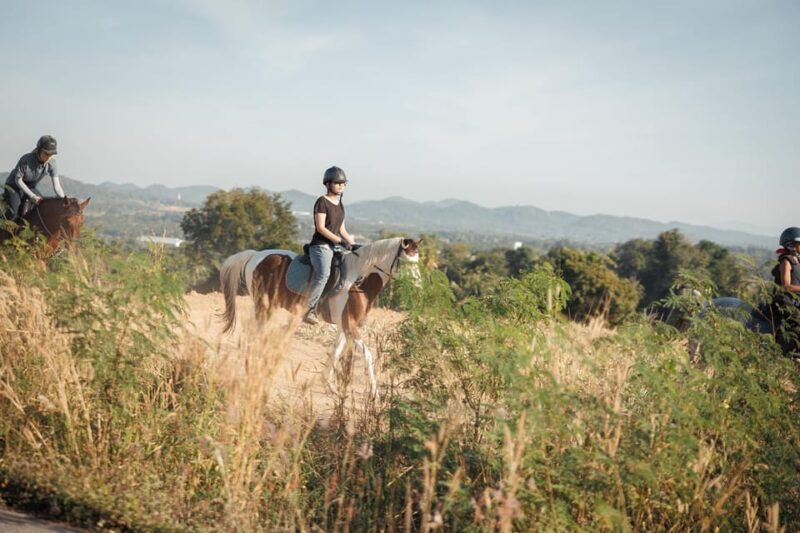 Pattaya, Thailand: Experience Scenic Horse Trail Riding - Thrilling Galloping and Open Spaces