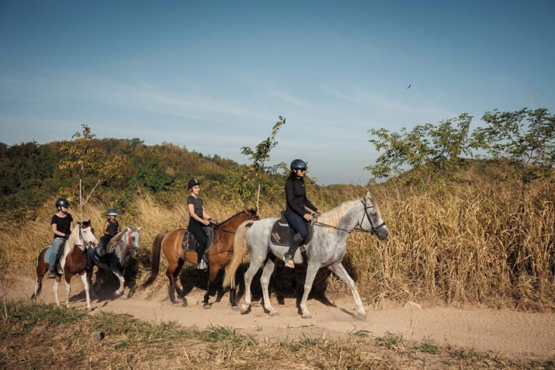Pattaya, Thailand: Experience Scenic Horse Trail Riding - Fresh Forest Air and Immersion