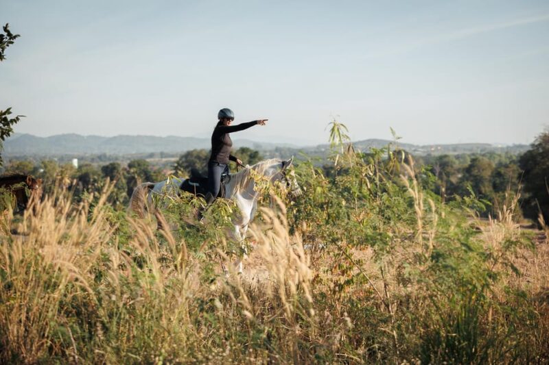 Pattaya, Thailand: Experience Scenic Horse Trail Riding - Guided Trail Riding Experience