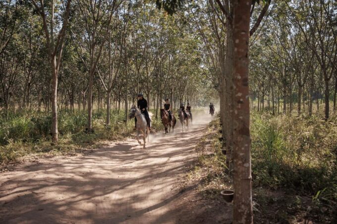 Pattaya, Thailand: Experience Scenic Horse Trail Riding - Meeting Point and Transportation