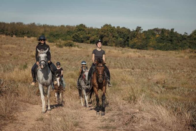 Pattaya, Thailand: Experience Scenic Horse Trail Riding - Cancellation Policy
