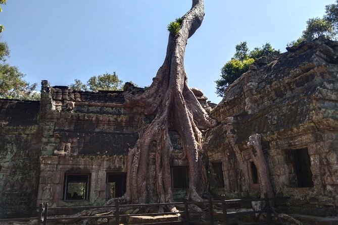 Pattaya to Angkor Wat 2 Days 1 Night Private Tour - Visa Information