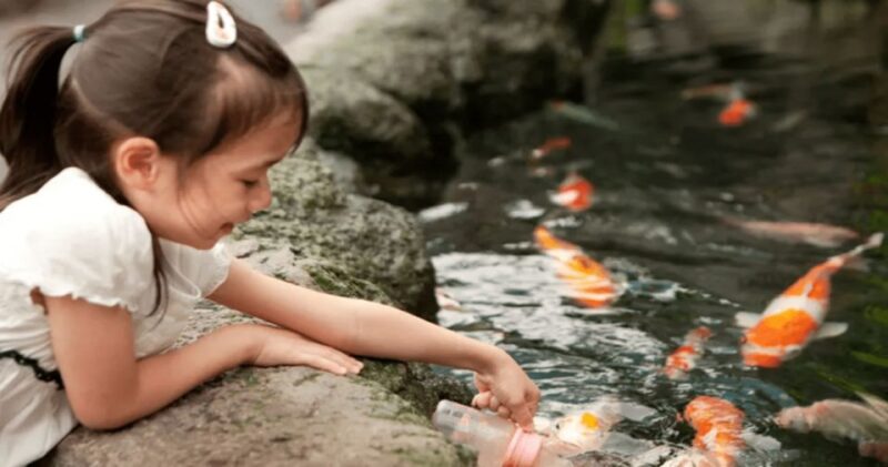 Pattaya: Under Water World - Highlights of the Experience