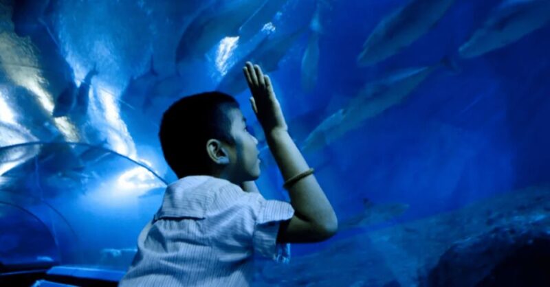 Pattaya: Under Water World - Diverse Marine Ecosystem