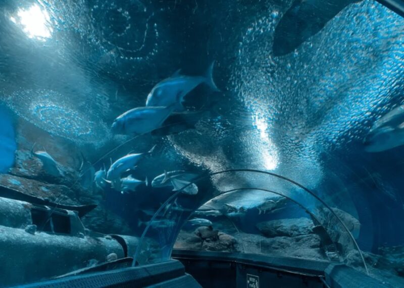 Pattaya: Under Water World - Premier Education and Conservation