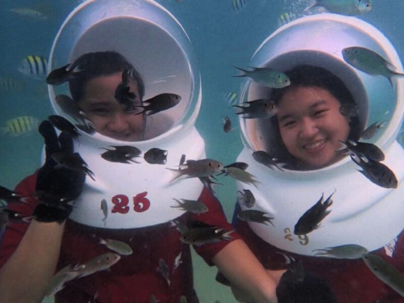 Pattaya: Underwater Sea Walking Experience - Itinerary Highlights