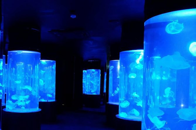 Pattaya Underwater World - Discover Ocean Treasures - Marine Life Exhibits