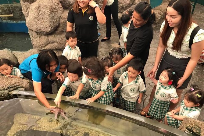 Pattaya Underwater World - Discover Ocean Treasures - Glass-Domed Observation Tunnel
